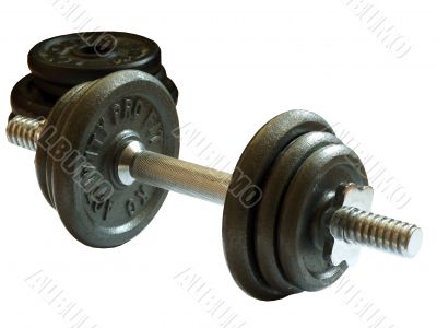 dumbells