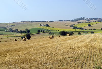 Marche - Landscape
