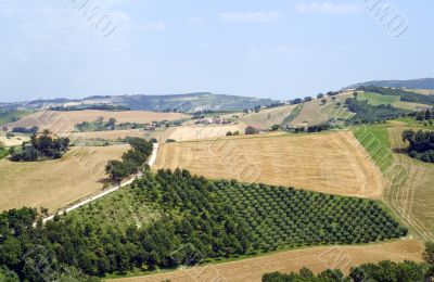 Marche - Landscape