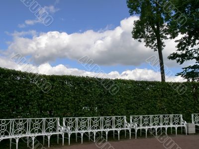 Bench, tree, clouds and blue sky.