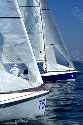 start of sailing race / yahting