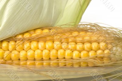 corn