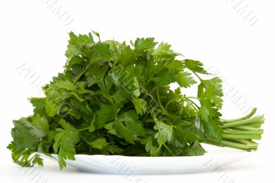 Green dill on a plate
