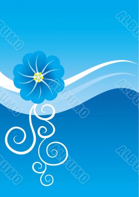 blue flower