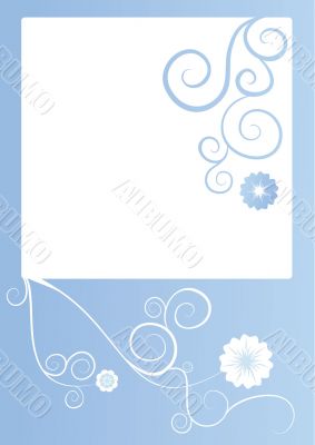 white flowers frame