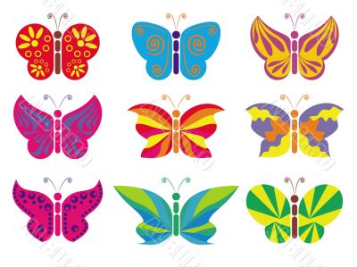 different butterflies