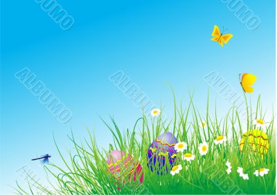 easter eggs in the grass