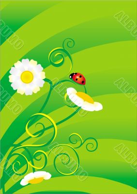 ladybird background