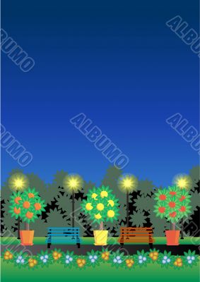 vector night park landscape backdrop