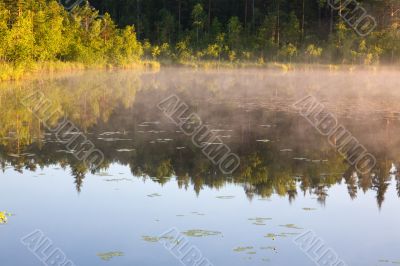 Silently and drowsily