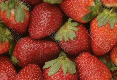 berries