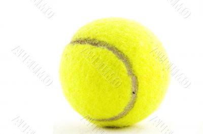 yellow tennisball isolated on a white background