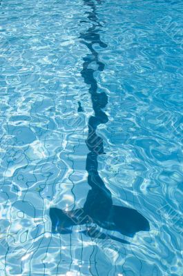 black line on bottom of swimmingpool