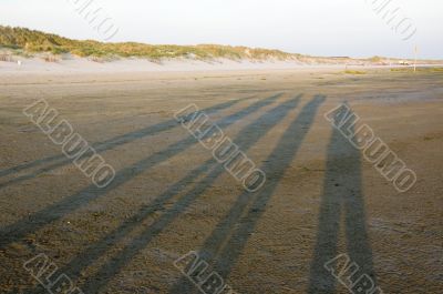 shadow of people on the beach during sunrise