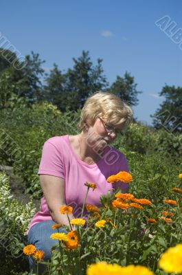 elderly woman is picking flowers