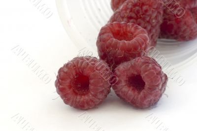 raspberries