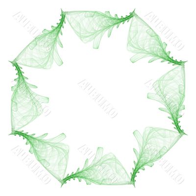 Oak leaves