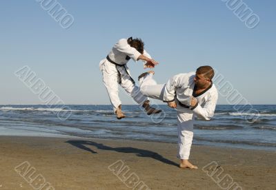 taekwondo, kickboxing