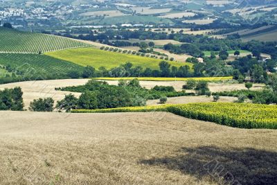 Marche - Landscape