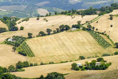 Marche - Panorama