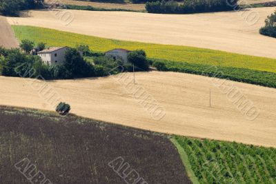 Farm in Marche (Italy)