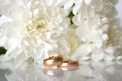 wedding rings