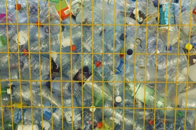 Bottles.