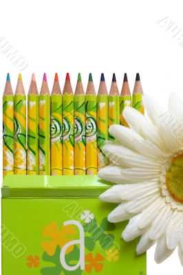 crayons in green box & flower