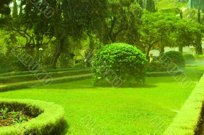 Garden.
