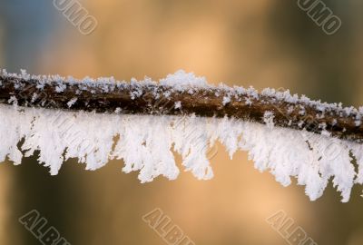 hoarfrost