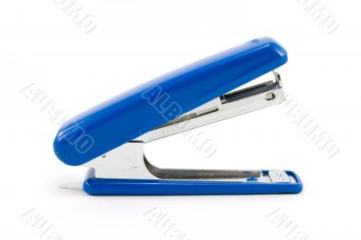 blue stapler
