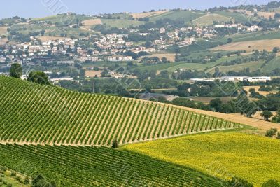 Marche - Landscape