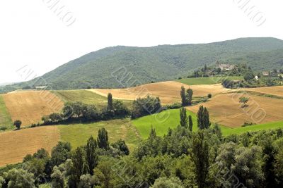 Marche - Landscape
