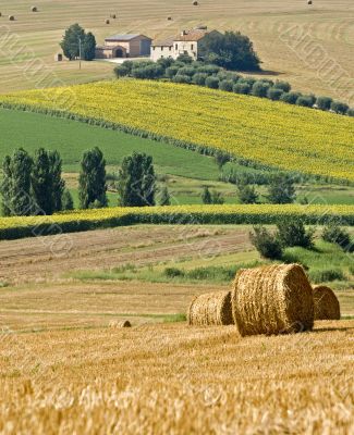 Italian farm
