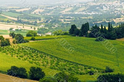 Marche - Landscape