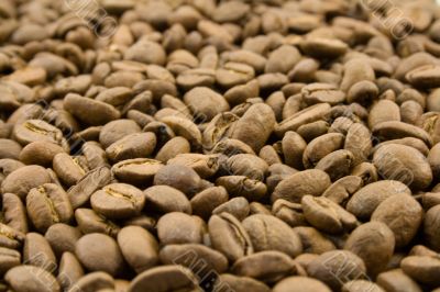 coffee beans