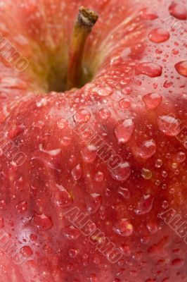 Macro apple red