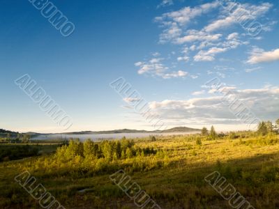 Foggy landscape