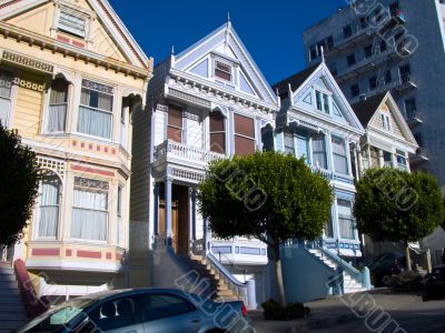 Painted Ladies