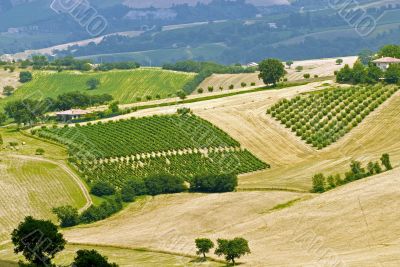 Marche - Landscape