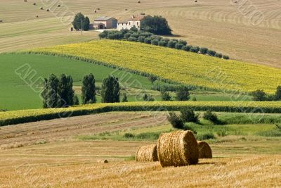 Italian farm