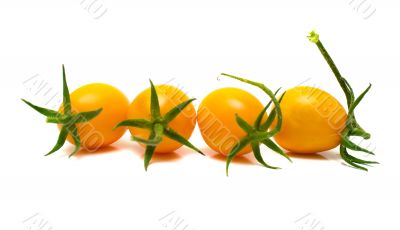 perfect yellow tomatoes