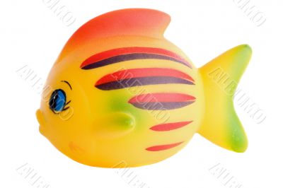 Beauty plastic fish