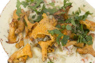 chanterelles