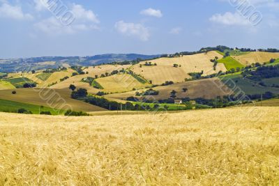 Marche - Landscape