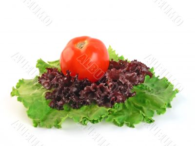 Tomato on salad