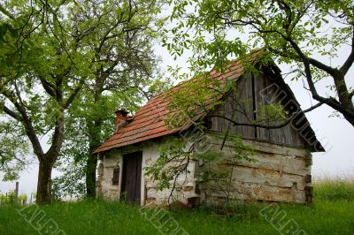 Hut