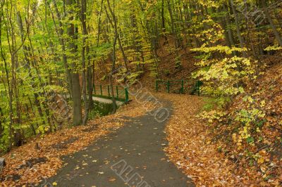Autumn