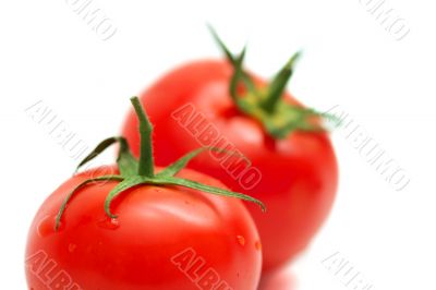 Tomato