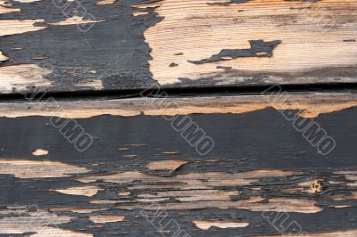 Lumber